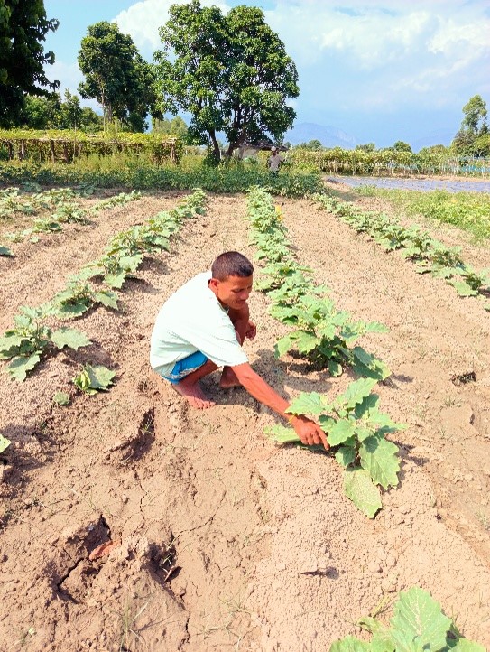 Palta before participating in the project